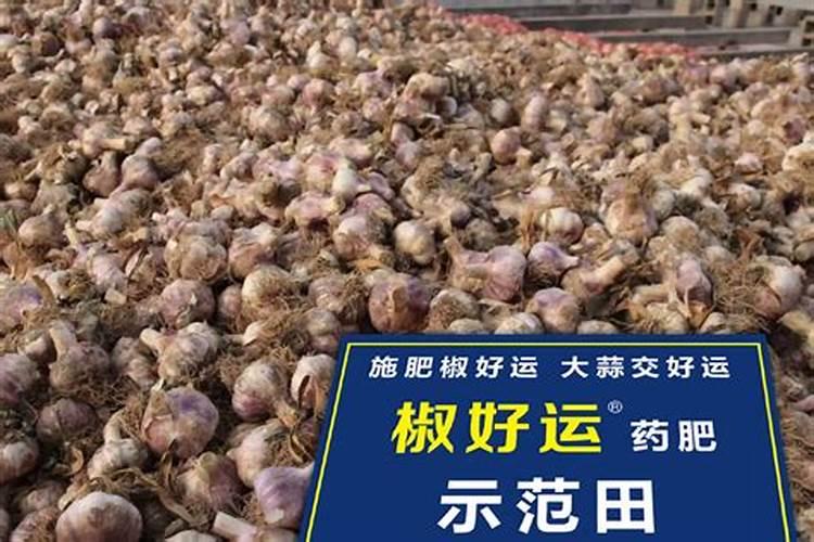硫酸钙是不是一种很好的钙肥？