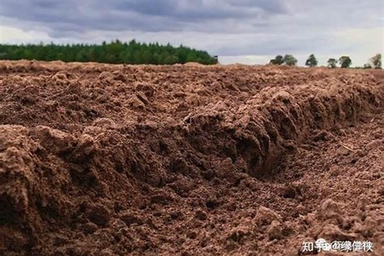小麦三喷一防是什么？