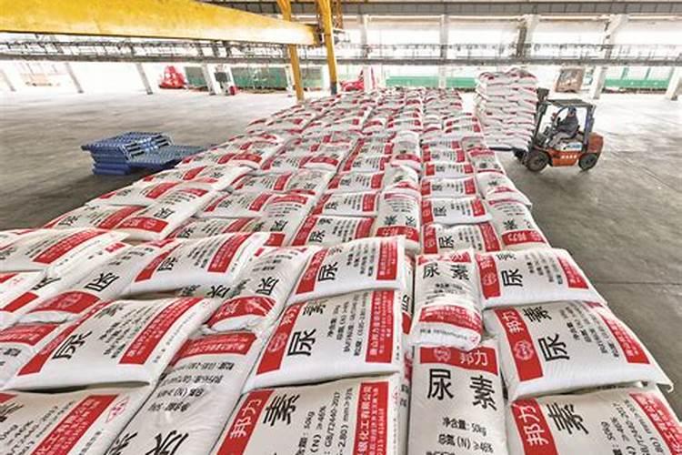 山西运城杨桃什么时候成熟？