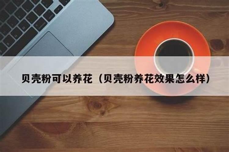 贝壳粉和骨粉种菜怎么用