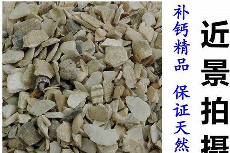 多肉植物一般用什么肥 多肉6种常用肥料