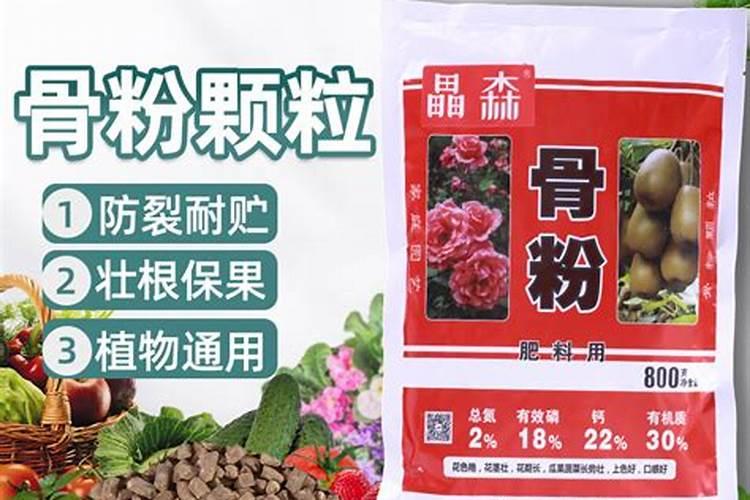 蝴蝶兰用什么肥料最好