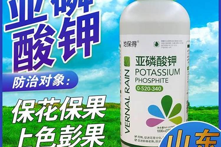 使叶面深绿的叶面肥,使叶色浓绿的是什么肥