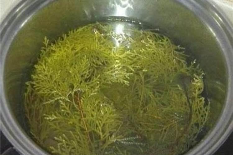 南瓜磷肥过多有什么危害