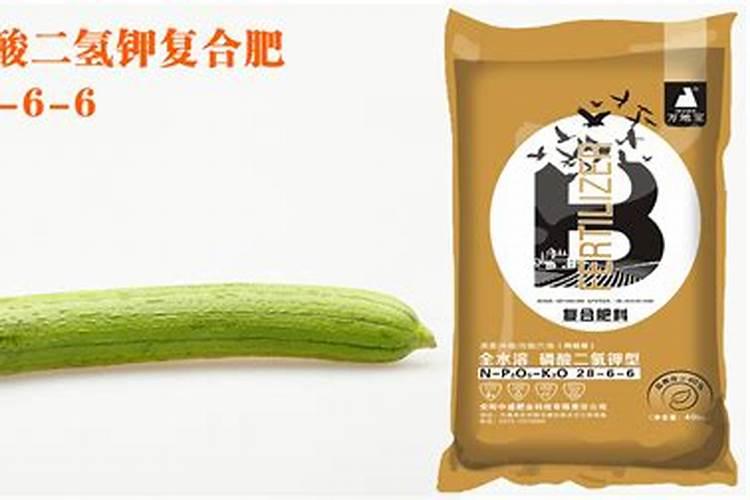 丝瓜用高钾的叶面肥可以吗