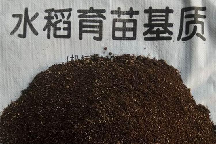 种水稻用什么肥料最好