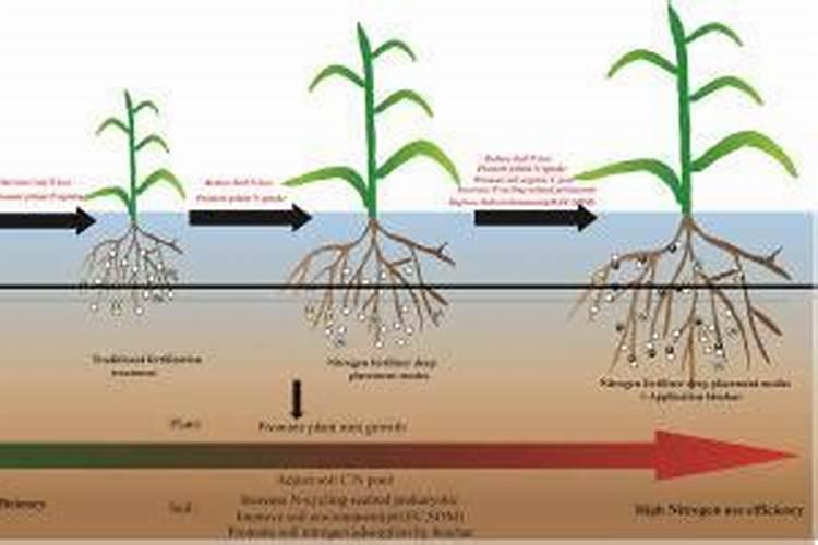 菜叶腐烂的最简单处理方法是什么