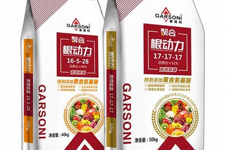 秋天大量使用磷钾肥养君子兰的危害