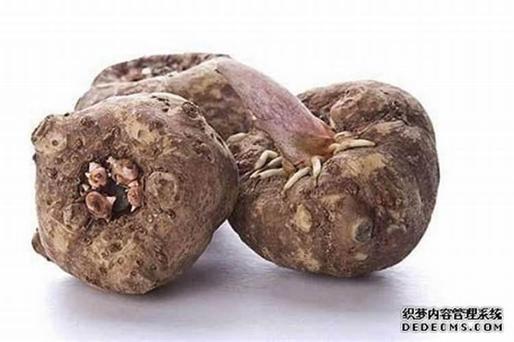 种魔芋用什么肥料