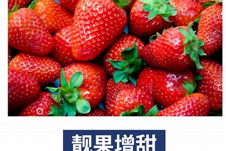 辣椒用什么叶面肥