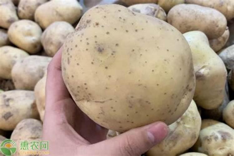 种土豆每亩用多少肥料最好