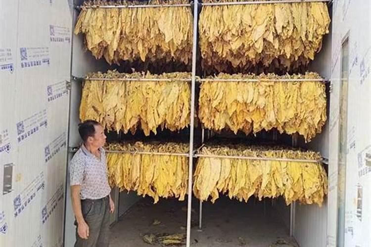 磷酸二氢钾和芸苔素在黄爪上一桶水用多少计量？