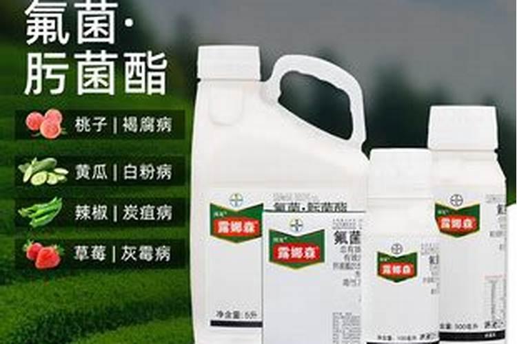 西洋诺威施新特肥微生物菌剂(颗粒)适用于果树、蔬菜吗？效果咋样百度...