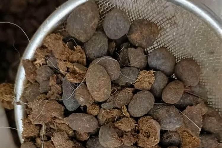 氮肥养花的作用及使用方法