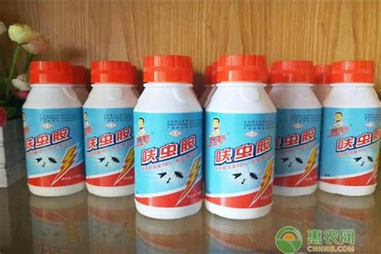 圈叶病怎样防治？