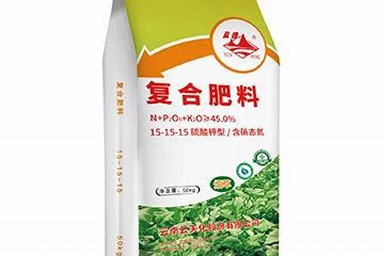 菠萝蜜树长什么样子