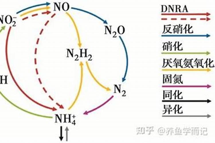 80的代森锌能不能合芸苔素一起用？