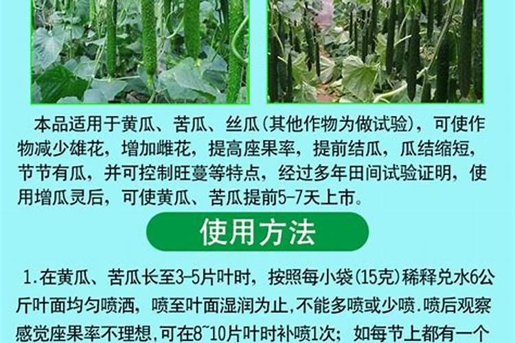 大棚苦瓜用什么药可以多结瓜