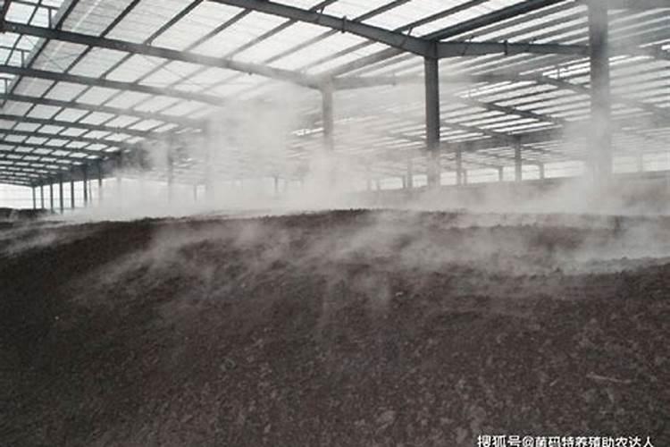 肥料有哪十种类型 农业生产使用的十类肥料大全