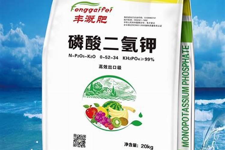 长豆角开花期喷什么药不掉花(打什么药能提高豆角产量)