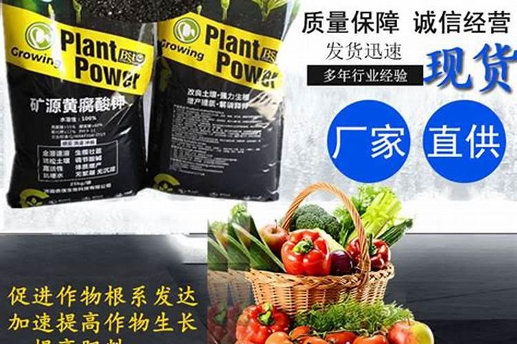 预防土豆重茬有没有用天清微量元素水溶肥的？