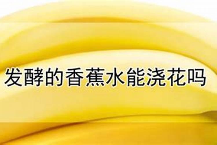 刚发芽的辣椒苗可不可以浇香蕉水呢？