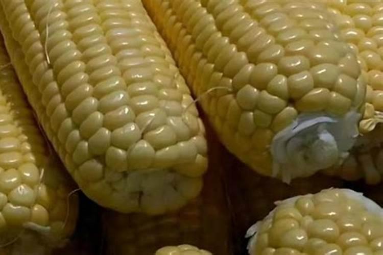 种玉米用什么化肥最好？