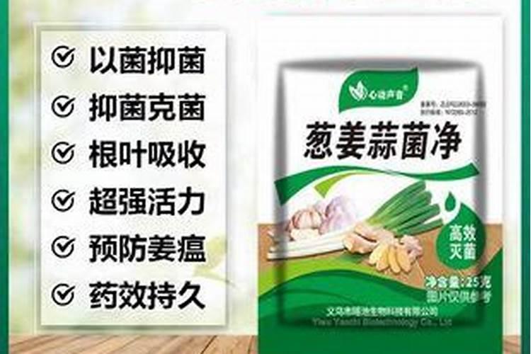 大蒜返青施什么肥料