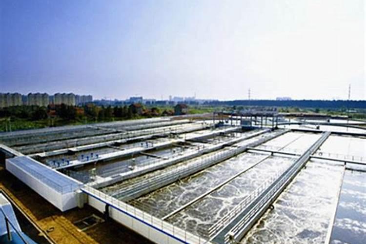 无花果树什么时候浇水好 无花果树哪个时间浇水好呢