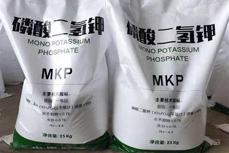 柑橘幼树施肥方法和注意事项