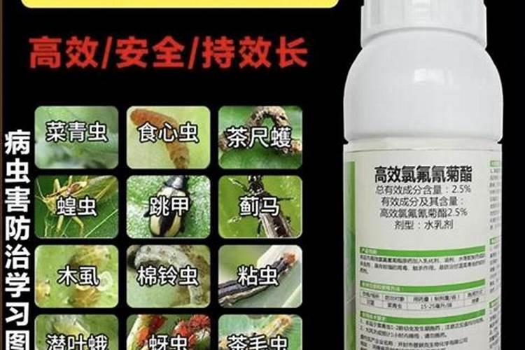 中科三安是国企吗