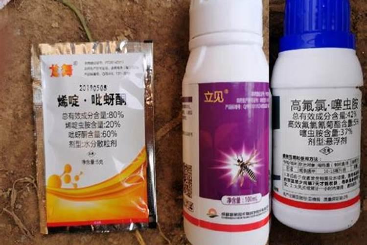 蓟马虫药 助剂 叶面肥对豇豆有什么副作用吗