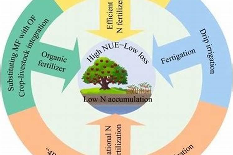 蔬菜浇什么肥料最好