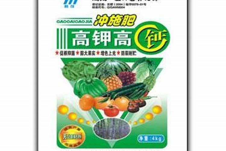 桑葚种植技术及高产要点