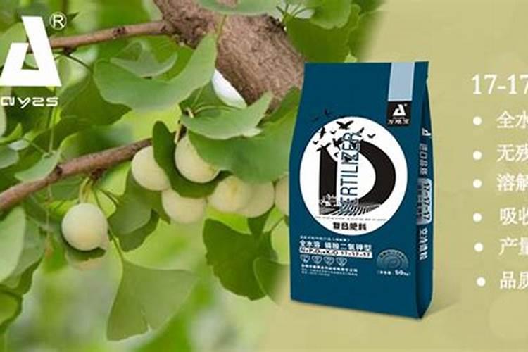 银杏树施什么肥最好