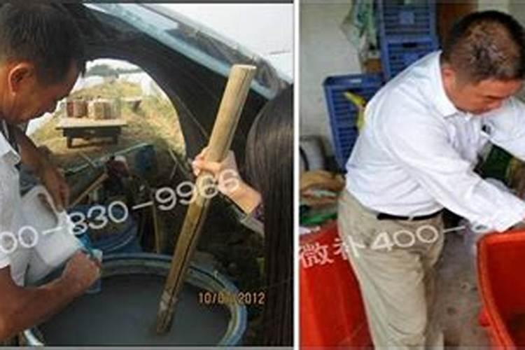元素施用过量对植物有什么危害