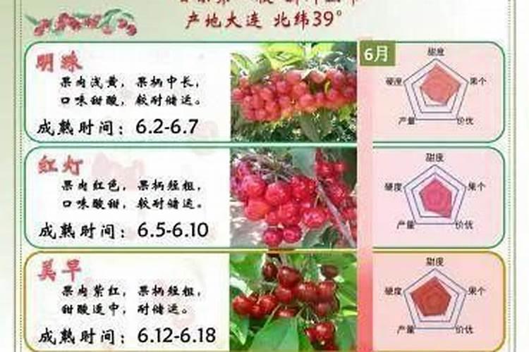 大樱桃二次膨大用什么肥