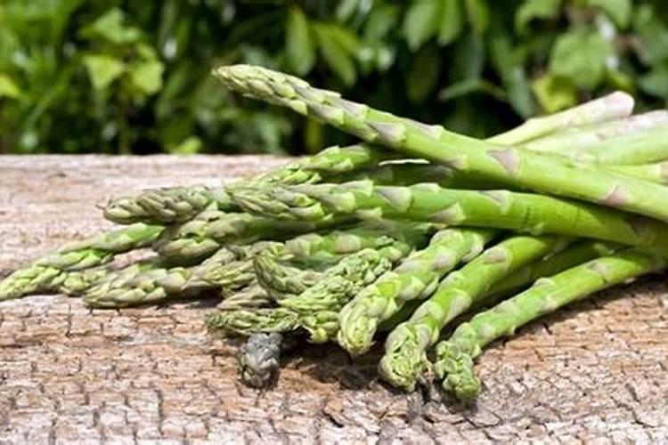 芦笋喜欢哪些肥料 适合芦笋的肥料品种
