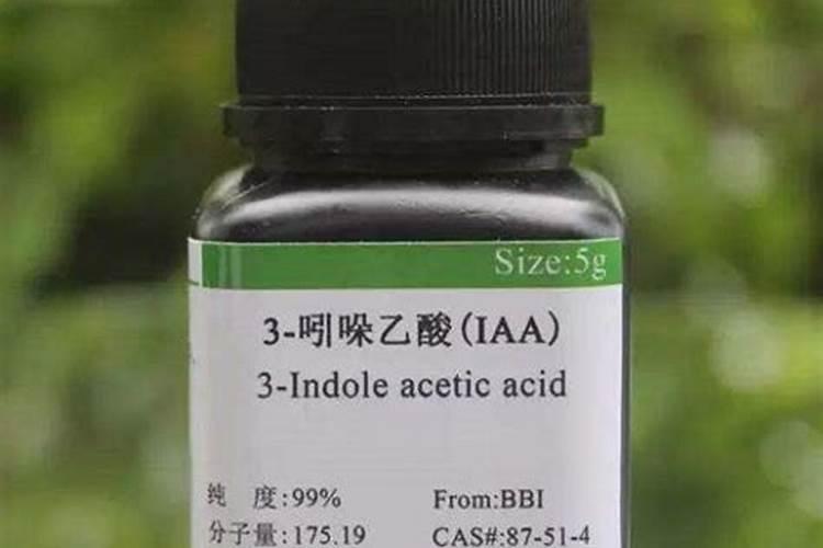 植物生根剂的使用方法