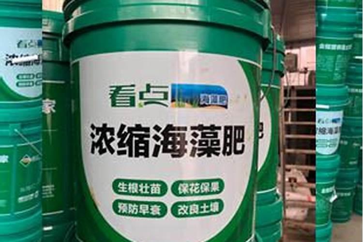 青岛有几家在生产海藻肥的工厂？