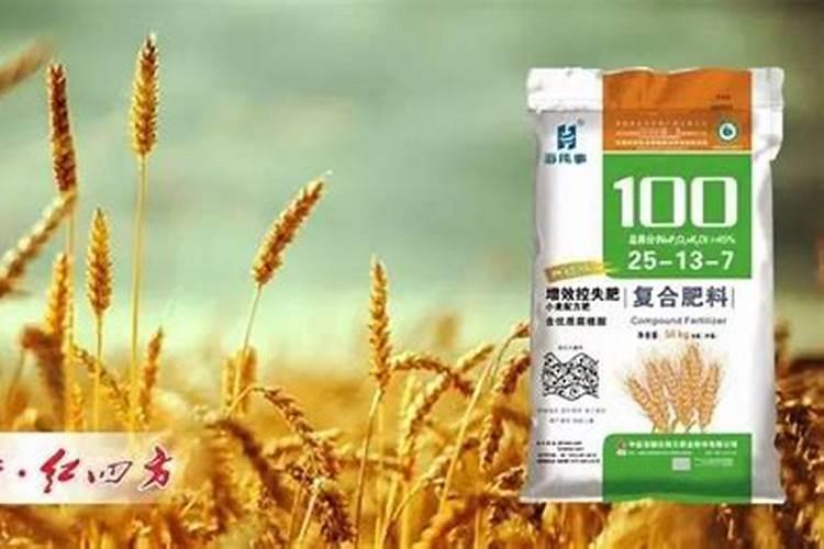 小麦叶面肥什么时候用好