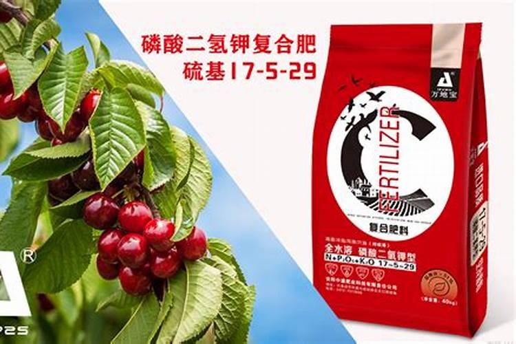 一棵樱桃树施多少肥