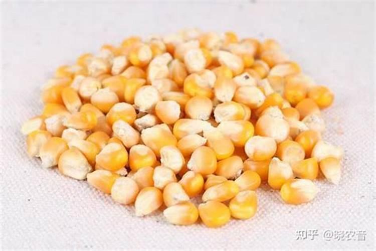 种植玉米施入的钾肥,是氯化钾好还是硫酸钾好