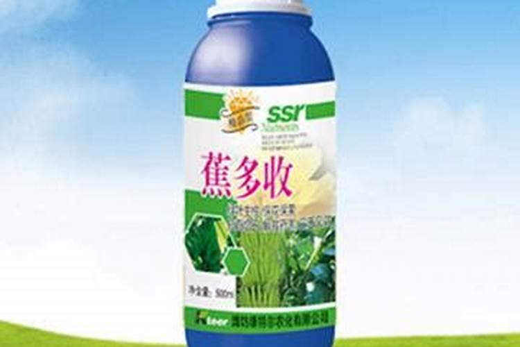 兰花叶面肥有哪些
