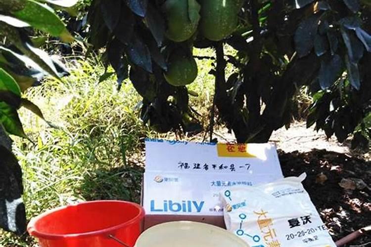 三红蜜柚苗如何施肥