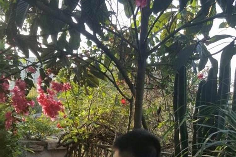 人的尿对植物有什么作用