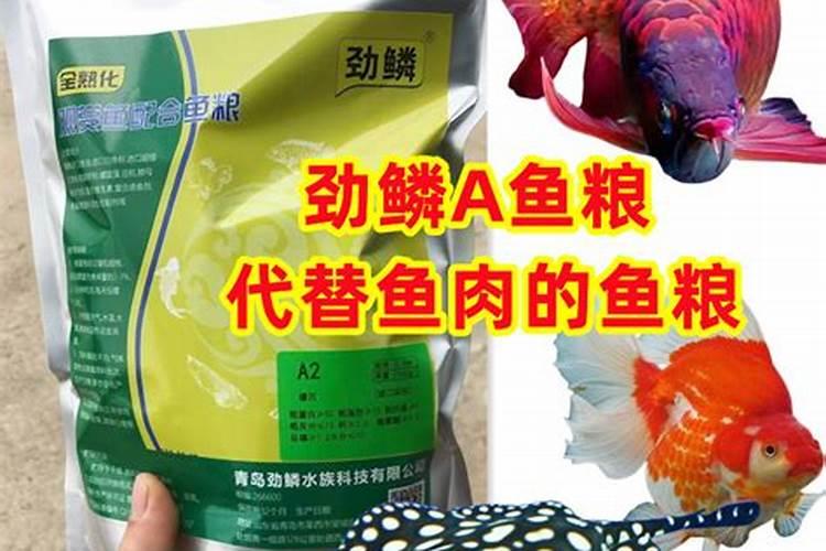马面鱼是什么鱼