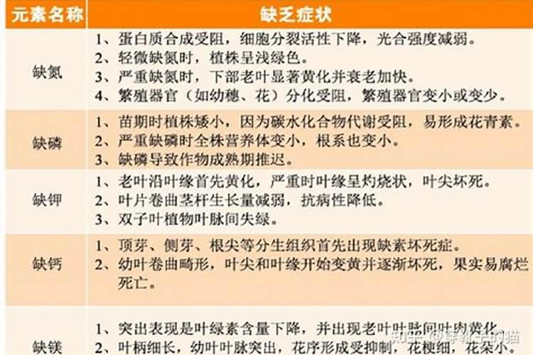 果树补钙用什么钙肥好 什么时候使用效果好