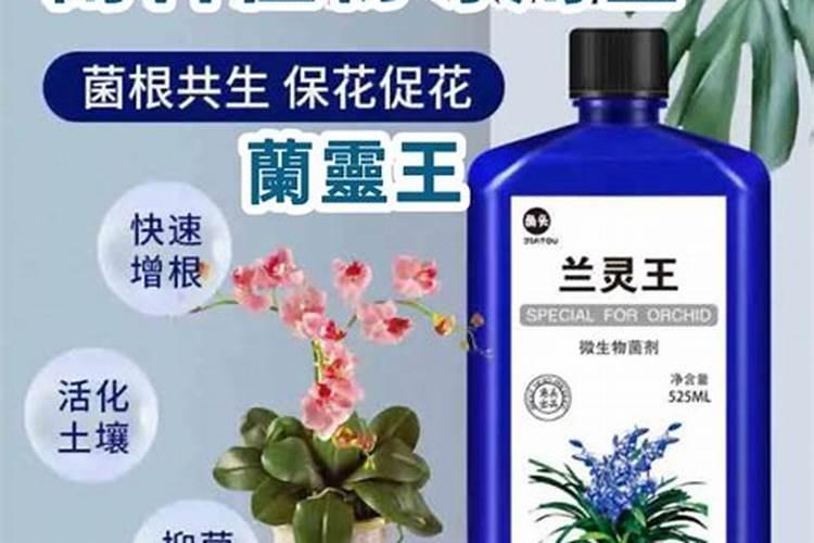 促进花发芽用什么肥