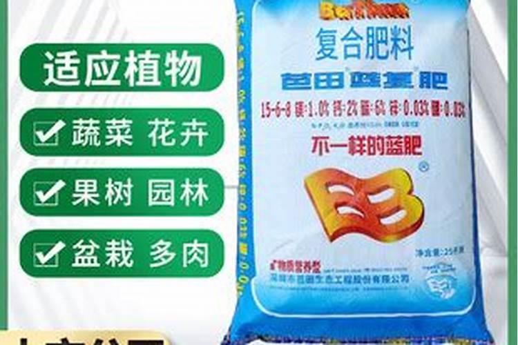 蓝宝石葡萄叶子是红色吗